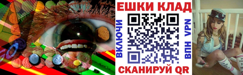 закладка  Ивангород  Экстази диски 