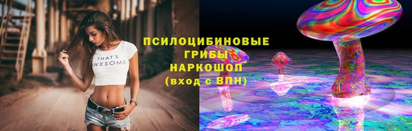 бошки Алексин