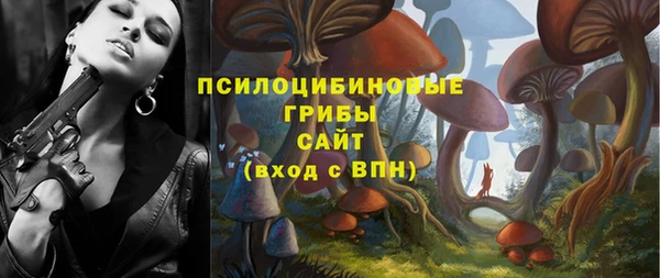 бошки Алексин