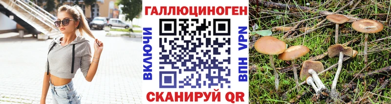 где найти наркотики Ивангород Галлюциногенные грибы GOLDEN TEACHER